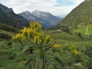 LAGHI GEMELLI, DELLA PAURA E DI VAL VEGIA, ad anello con Cima delle galline e di Mezzeno il 26 agosto 2020 - FOTOGALLERY